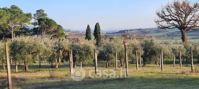 Terreno edificabile in residenziale in Strada Bagnaia Badiola