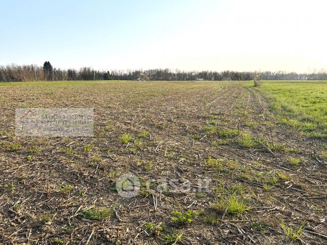 Terreno agricolo in commerciale in 