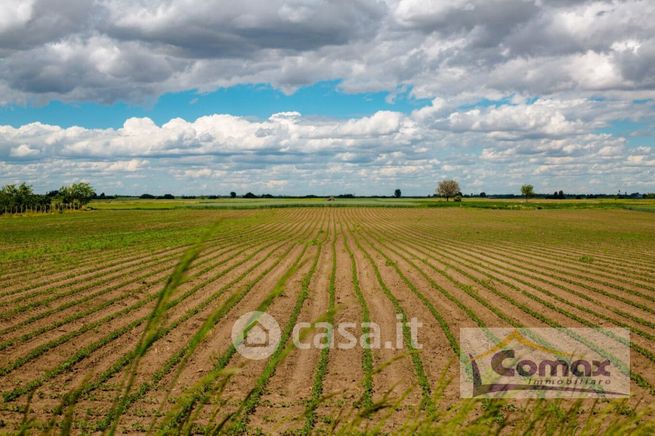 Terreno agricolo in commerciale in Via Pelosa