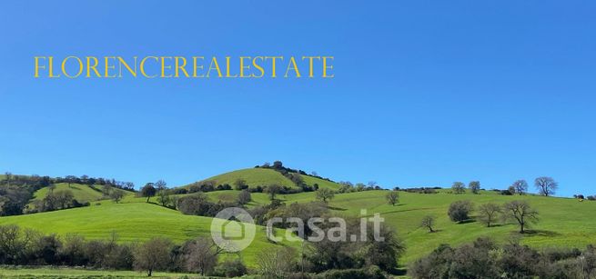 Terreno agricolo in commerciale in Via scansanese