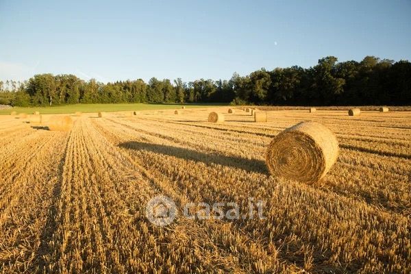 Terreno agricolo in commerciale in Via Borghina