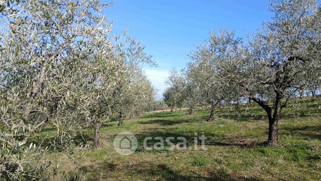 Terreno agricolo in commerciale in 