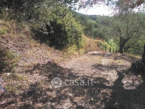Terreno agricolo in commerciale in Via Colle San Francesco