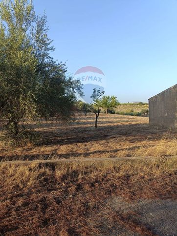 Terreno agricolo in commerciale in Contrada San Nicolò Le Canne 1