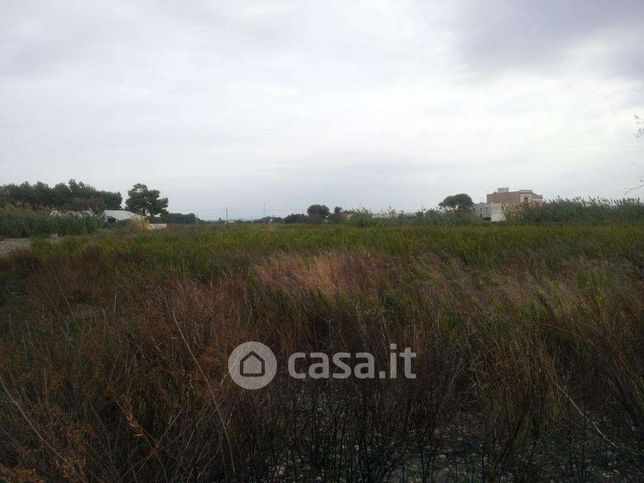 Terreno agricolo in commerciale in Strada Provinciale 21