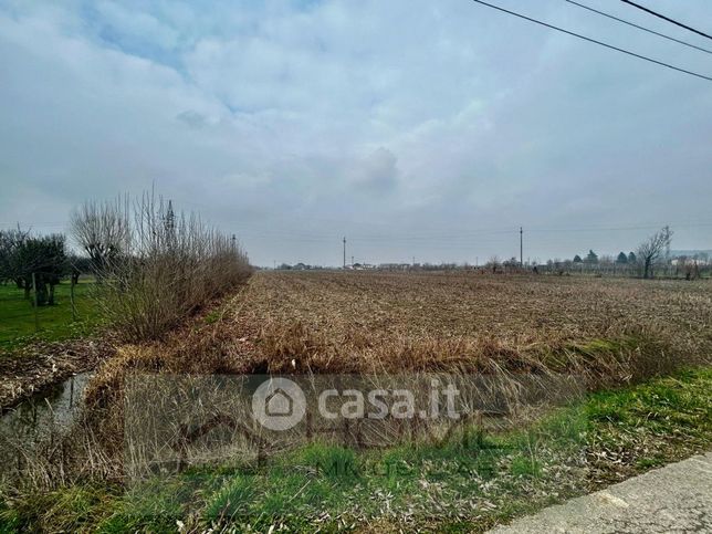 Terreno agricolo in commerciale in Via Lovolo