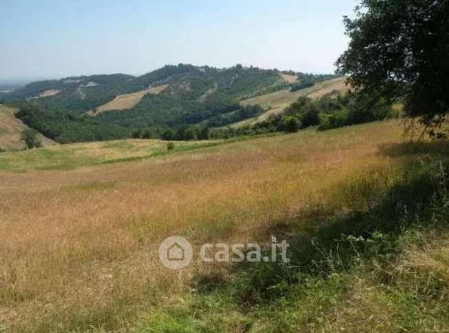 Terreno agricolo in commerciale in Via Gabbiano