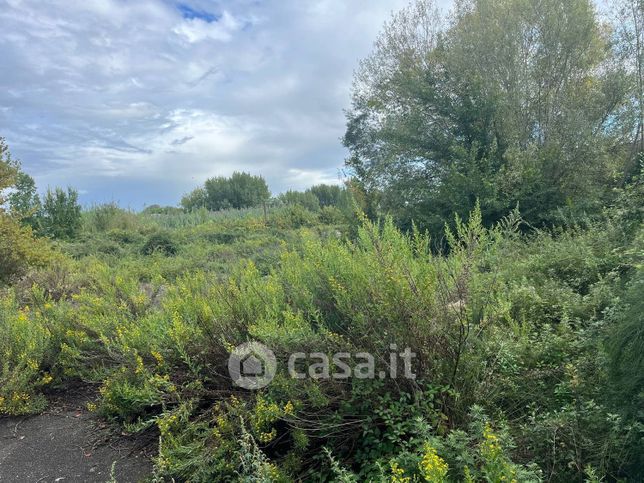 Terreno agricolo in commerciale in Via Fiorentina