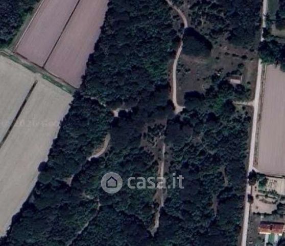 Terreno agricolo in commerciale in Via Pegorina