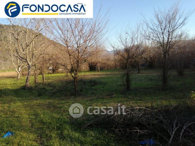 Terreno agricolo in commerciale in Via Lavinaio