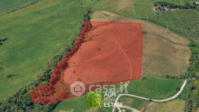 Terreno agricolo in commerciale in Via della Marcigliana