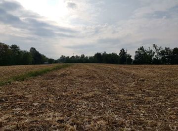 Terreno agricolo in commerciale in 