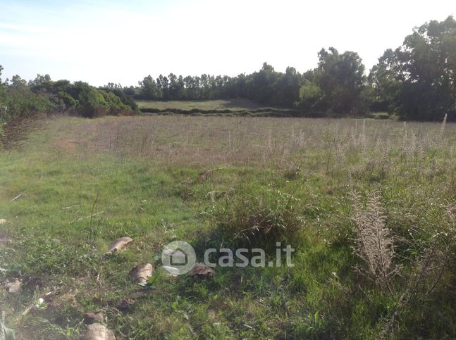 Terreno agricolo in commerciale in Località sa Segada
