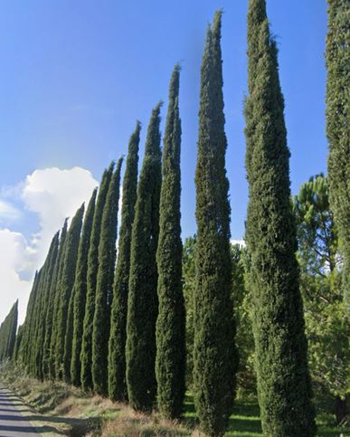 Rustico/casale in residenziale in Strada del commendone