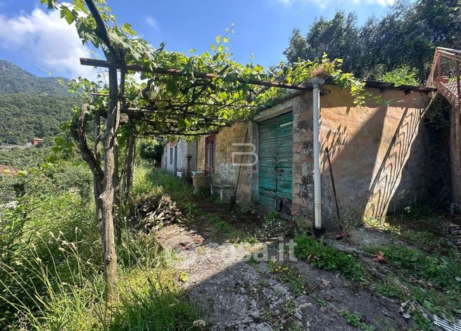 Terreno agricolo in commerciale in Via Bergiola Vecchia