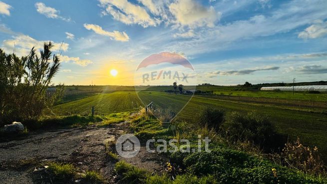 Terreno agricolo in commerciale in Strada Provinciale 19