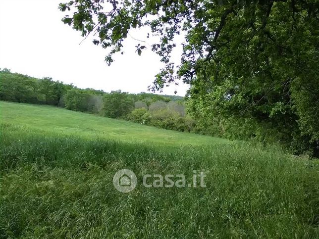 Terreno agricolo in commerciale in Strada Statale 1bis Via Aurelia