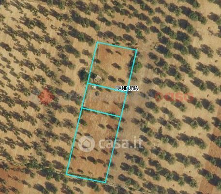 Terreno agricolo in commerciale in SP359 53