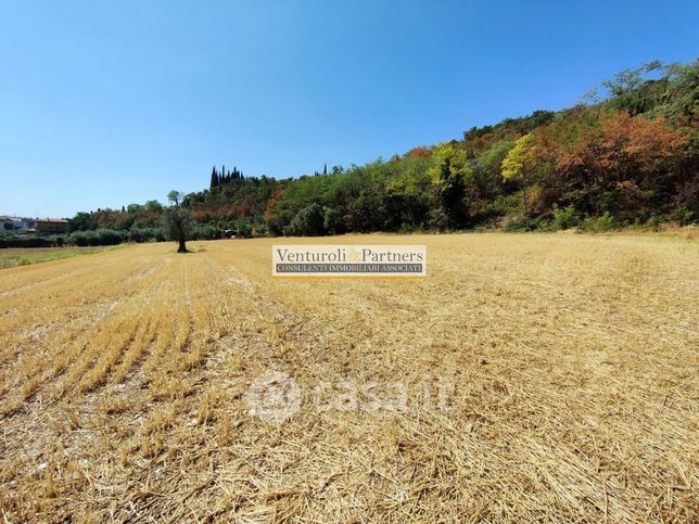 Terreno agricolo in commerciale in Via Brodena