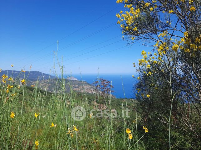 Terreno edificabile in residenziale in Strada Provinciale 25