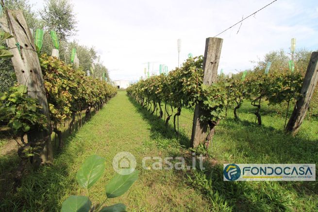 Terreno agricolo in commerciale in Via delle Case Vecchie