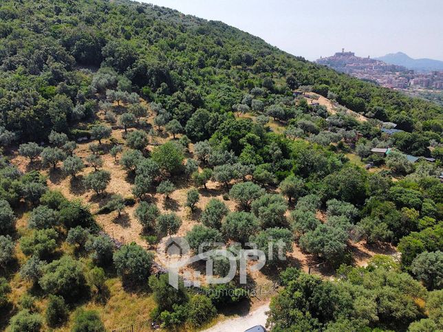 Terreno agricolo in commerciale in Strada San Michele Di 12