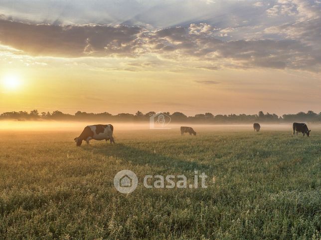 Rustico/casale in residenziale in 