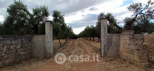 Terreno agricolo in commerciale in palmo