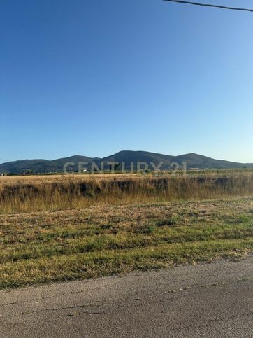 Terreno agricolo in commerciale in Via dei Ponti Neri