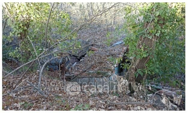 Terreno agricolo in commerciale in Frazione Argignano