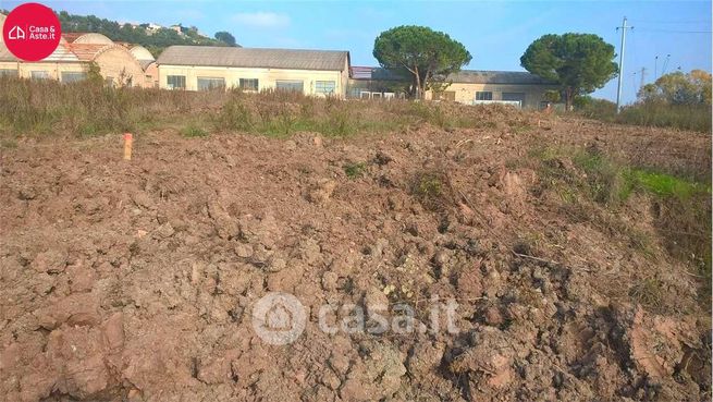 Terreno agricolo in commerciale in Contrada Mossa
