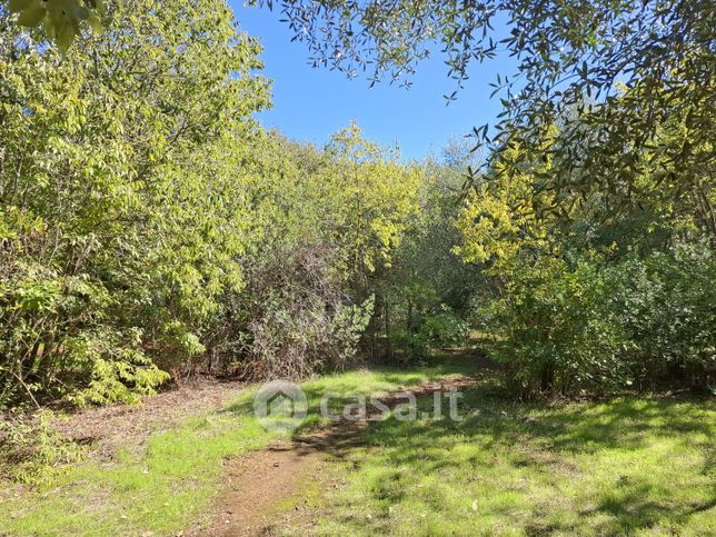 Terreno agricolo in commerciale in Viale Sandro Pertini