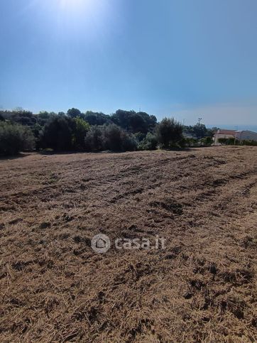 Terreno agricolo in commerciale in Via Sicilia