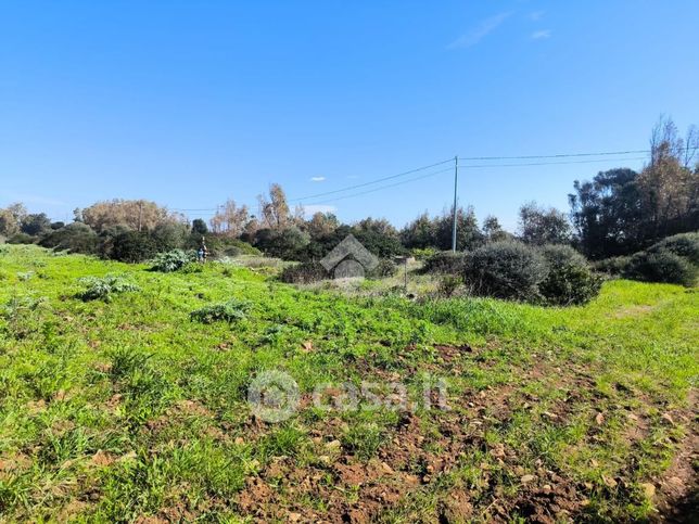 Terreno agricolo in commerciale in Via Siligo
