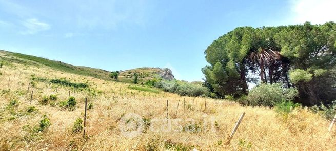 Terreno agricolo in commerciale in Via SP8 1