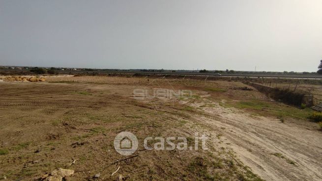 Terreno agricolo in commerciale in Traversa Fontana Mortella