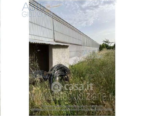 Terreno agricolo in commerciale in 