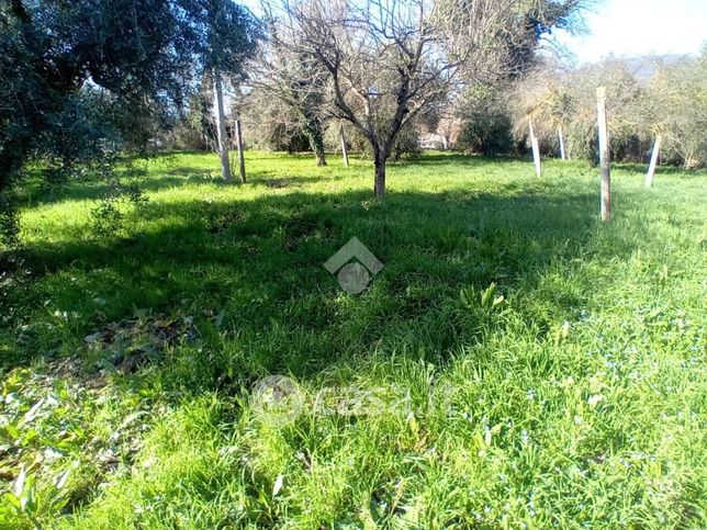 Terreno edificabile in residenziale in Strada del Cerqueto