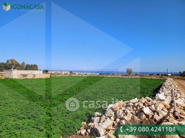 Terreno agricolo in commerciale in San C. Ponte Interrotto