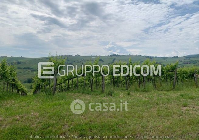 Terreno agricolo in commerciale in Strada Provinciale 201