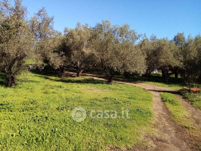 Terreno agricolo in commerciale in LocalitÃ  Mazzocchio Alto