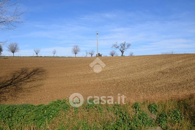 Terreno agricolo in commerciale in Via dei Mulini 63