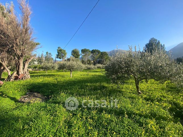 Terreno agricolo in commerciale in Via Provinciale