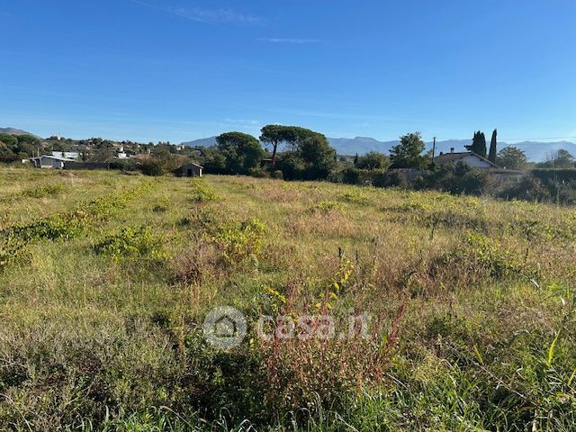 Terreno agricolo in commerciale in Via Acquatraversa