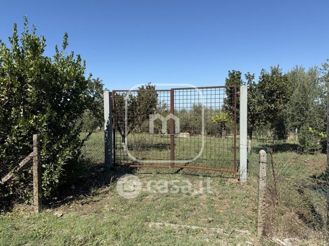 Terreno agricolo in commerciale in Via di Fontana Rondanini