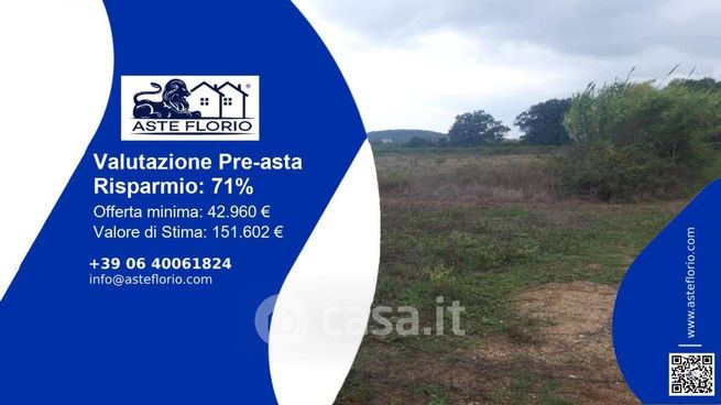 Terreno agricolo in commerciale in Via Mola di Vetere