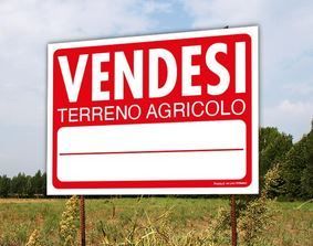 Terreno agricolo in commerciale in Via Borgonuovo 23