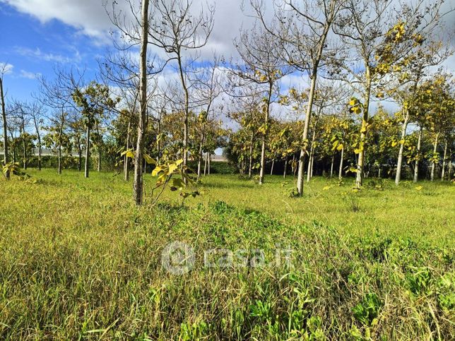 Casa indipendente in residenziale in SP33