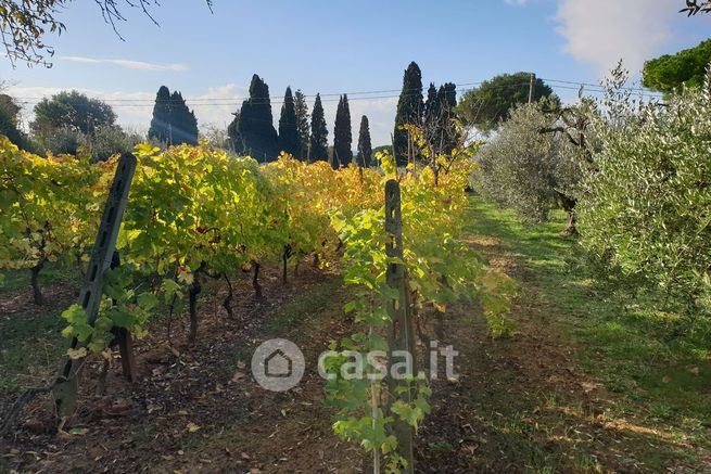 Terreno agricolo in commerciale in Il giardino