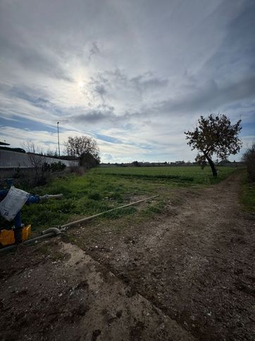 Terreno agricolo in commerciale in Via Serroni Alto 27